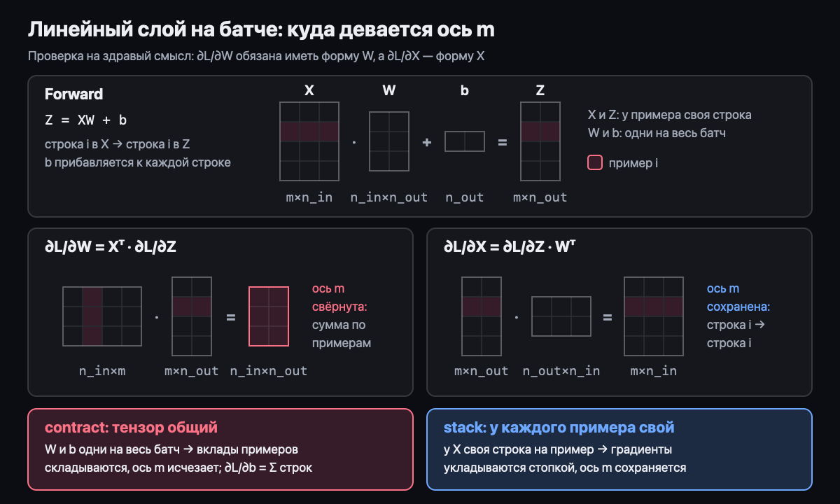 Линейный слой на батче: куда девается батчевая ось