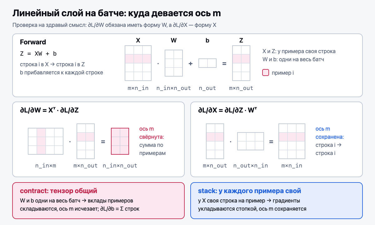 Линейный слой на батче: куда девается батчевая ось