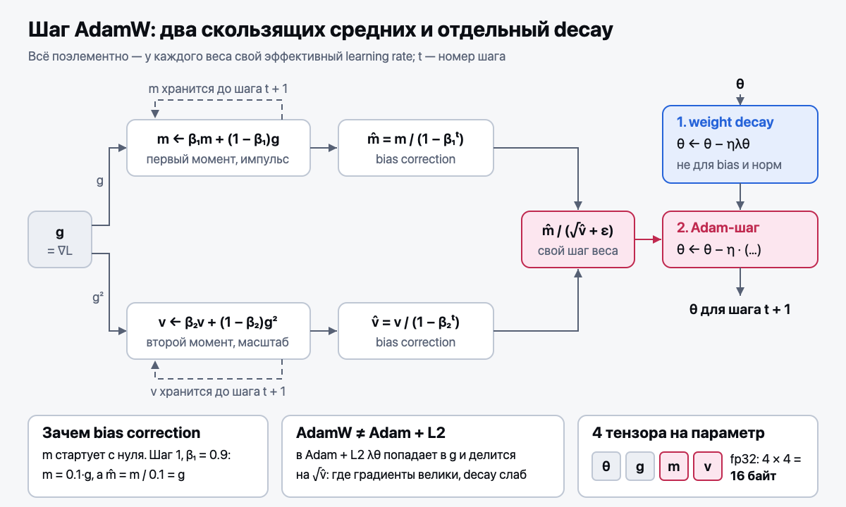 Шаг AdamW: два скользящих средних и отдельный weight decay
