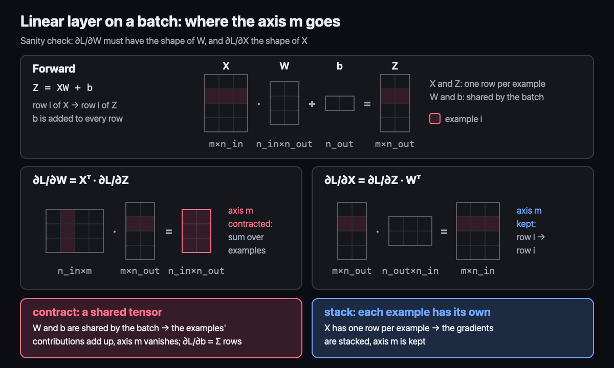 Linear layer on a batch: where the batch axis goes