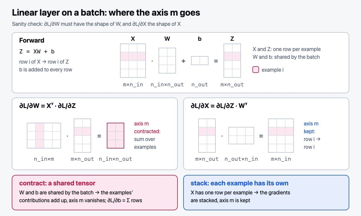 Linear layer on a batch: where the batch axis goes