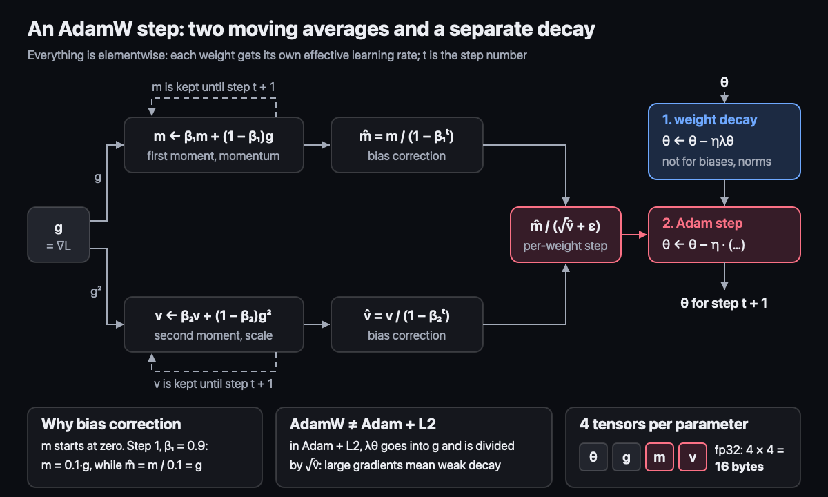 An AdamW step: two moving averages and separate weight decay