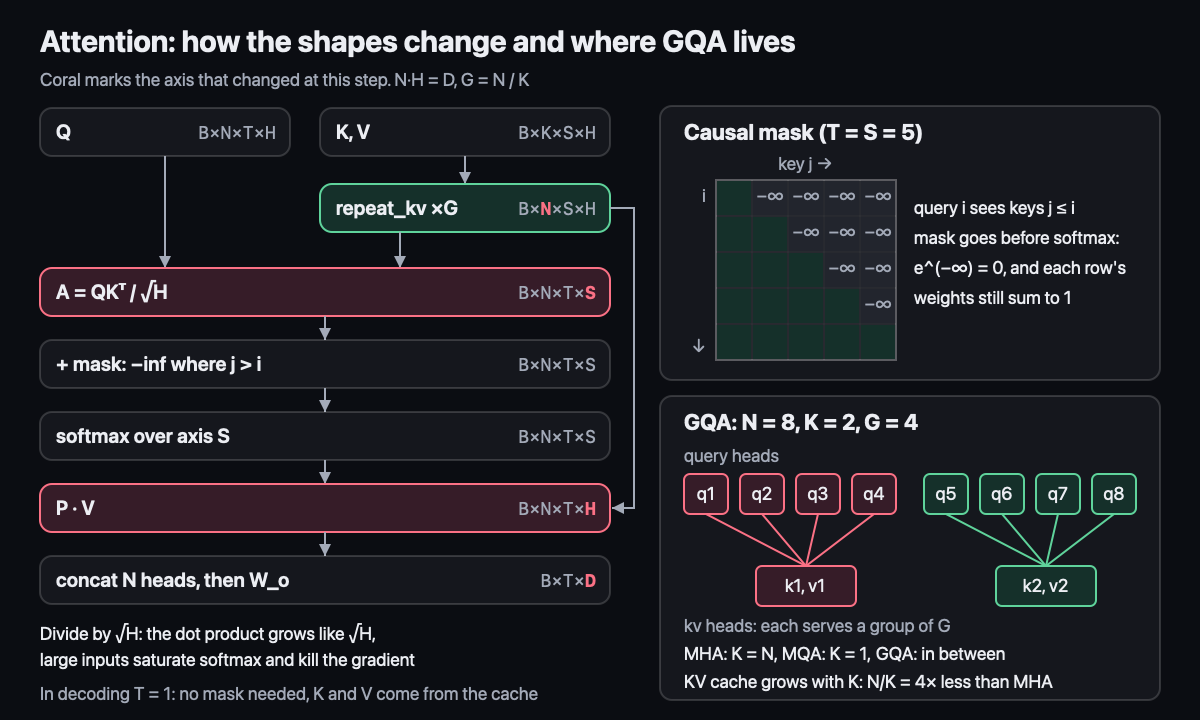 Attention: tensor shapes and GQA groups