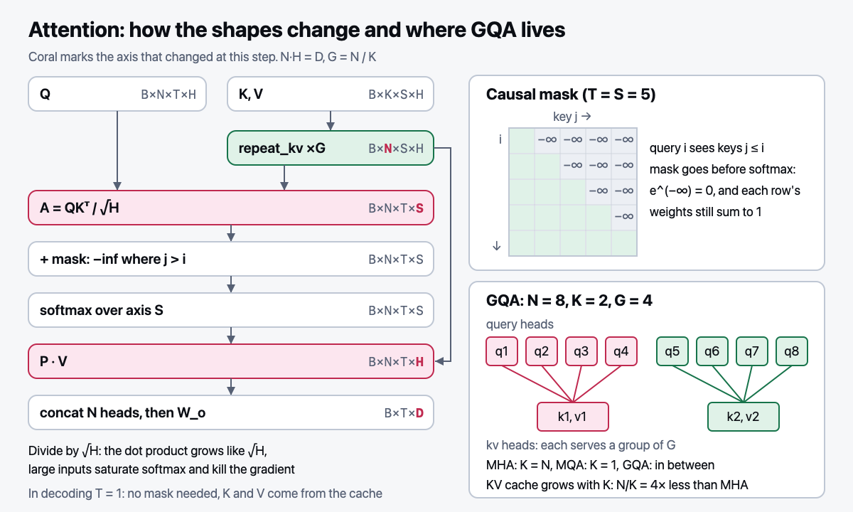 Attention: tensor shapes and GQA groups