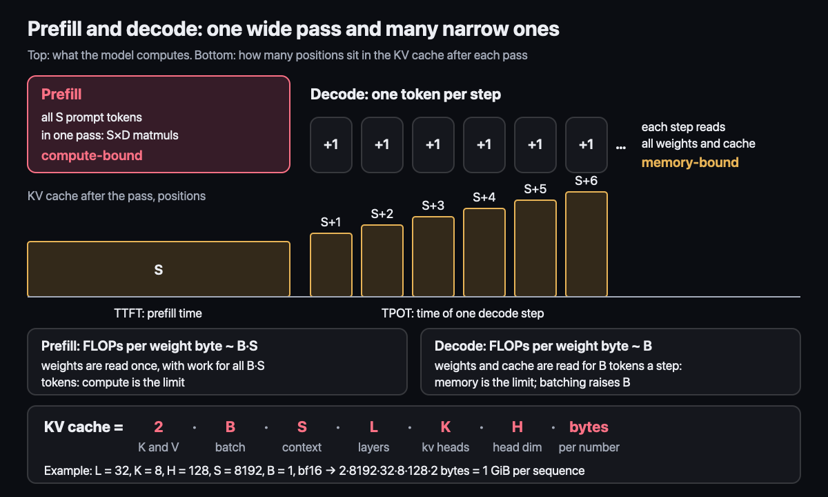 Prefill and decode: one wide pass and many narrow ones