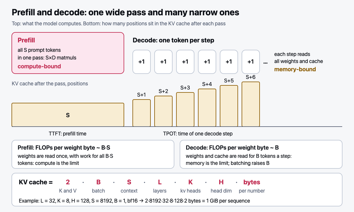 Prefill and decode: one wide pass and many narrow ones