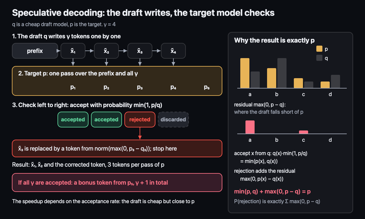 Speculative decoding: the draft writes, the target model checks