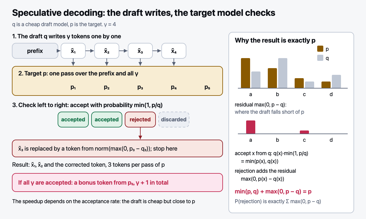 Speculative decoding: the draft writes, the target model checks