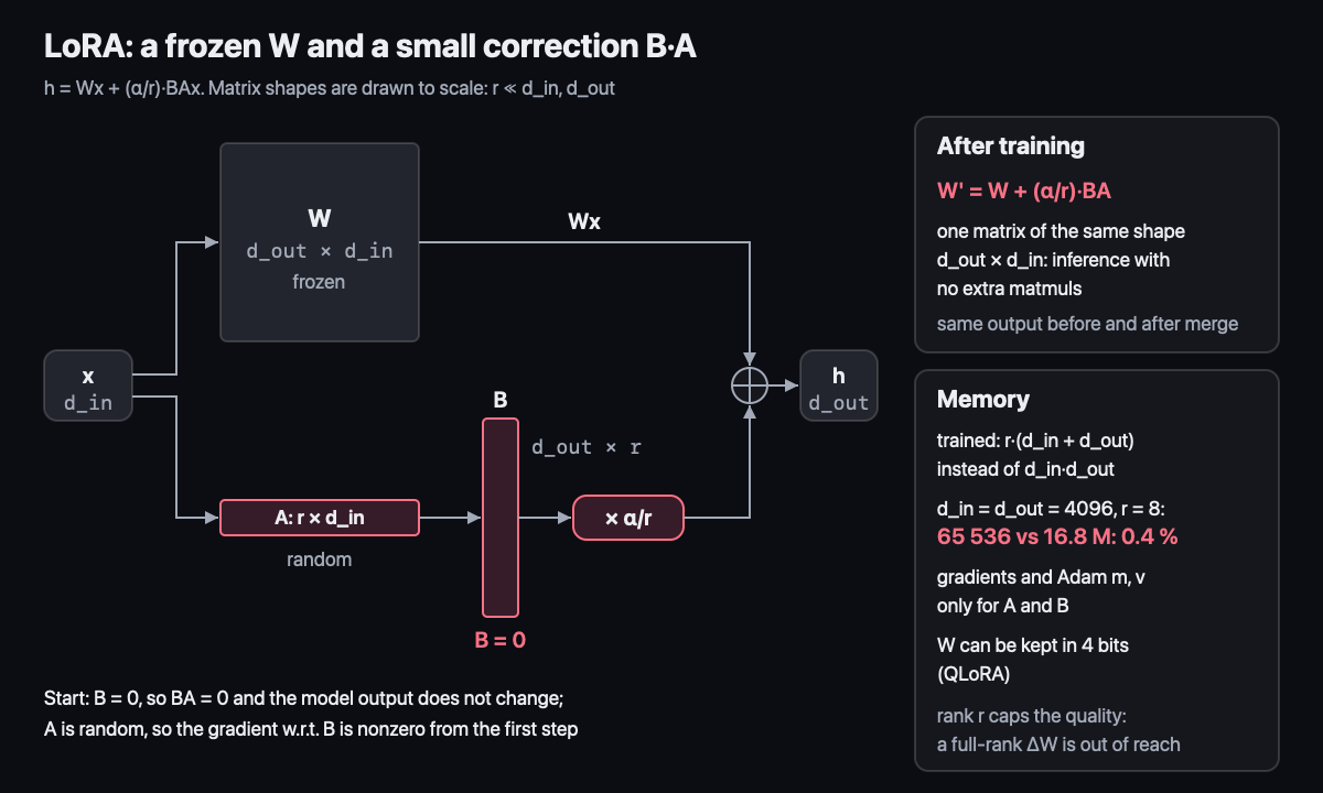 LoRA: frozen W and the correction B·A
